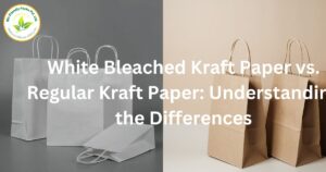 white paper v/s kraft paper bag