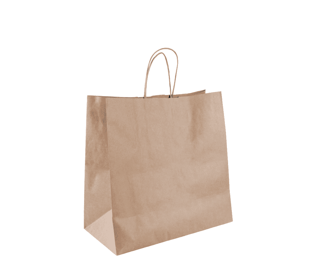 <mark>Twisted Handle</mark> Paper Bags